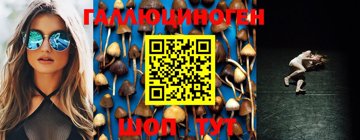 Галлюциногенные грибы Cubensis Владимир