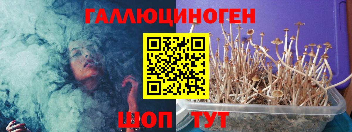 Псилоцибиновые грибы Psilocybe  Вход с VPN  Псилоцибиновые грибы Magic Shrooms  Владимир 